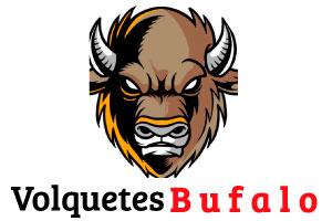 volquetes bufalo